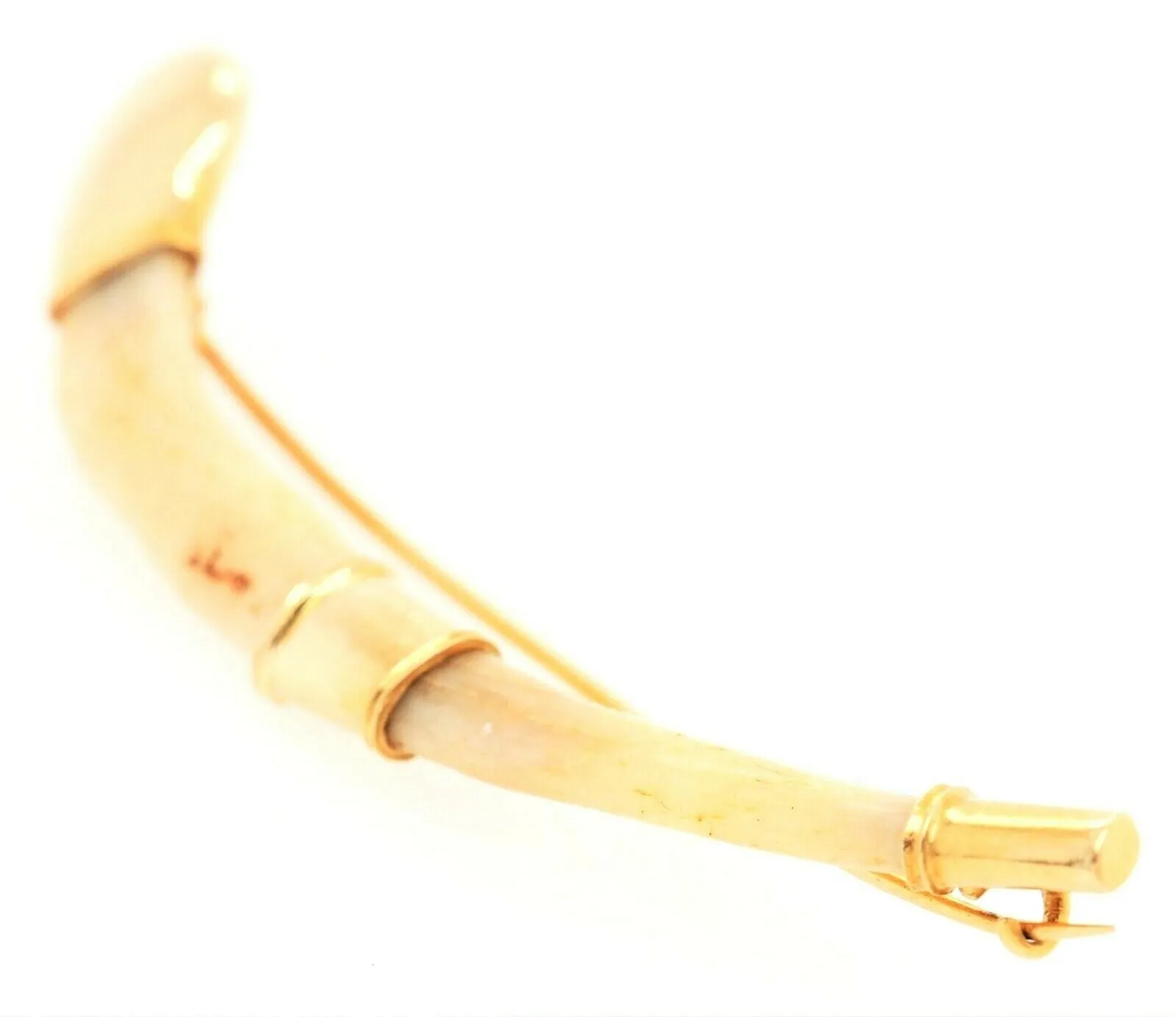 18ct Yellow Gold Curved Boar Tusk Brooch