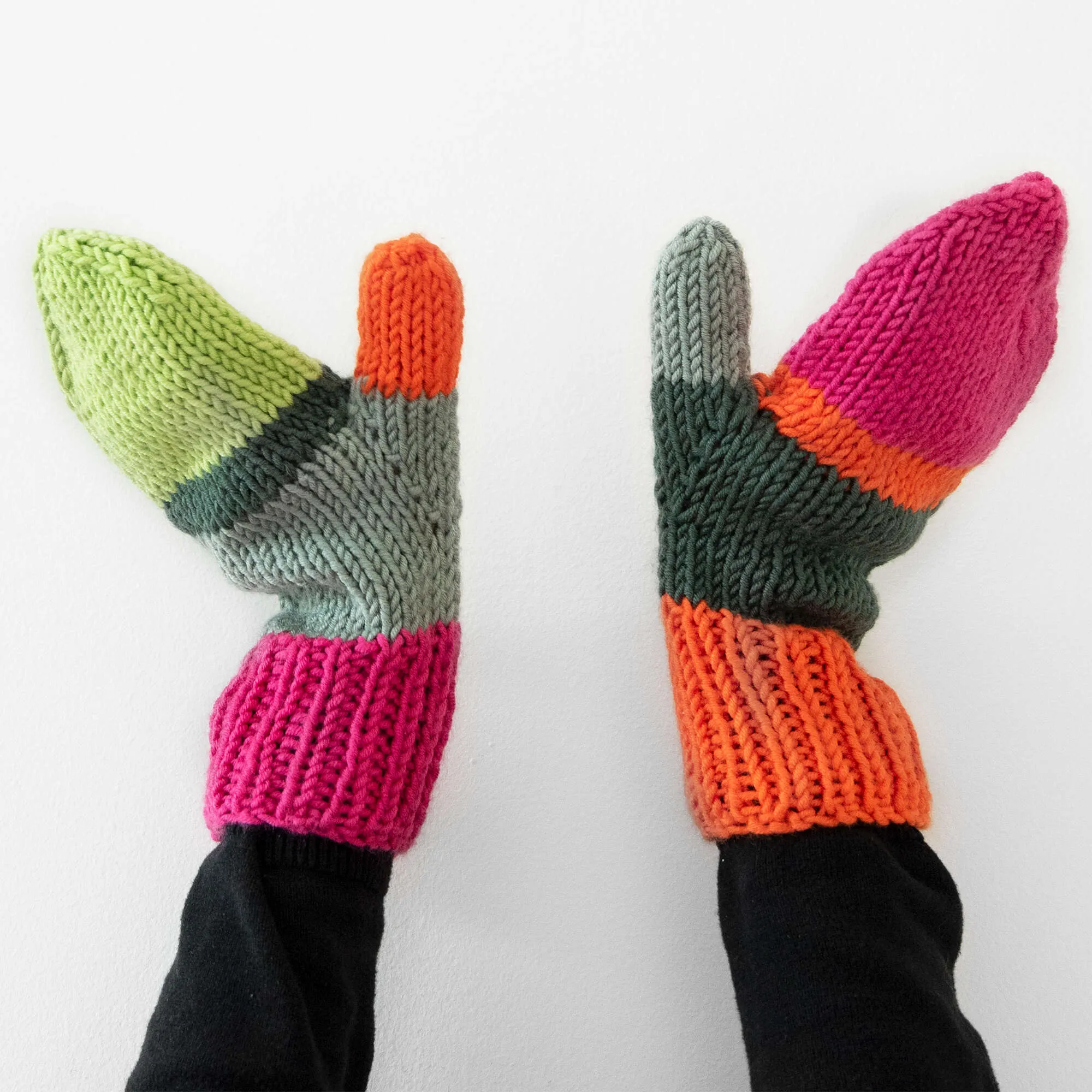 Caron X Pantone Find A Match Knit Mittens