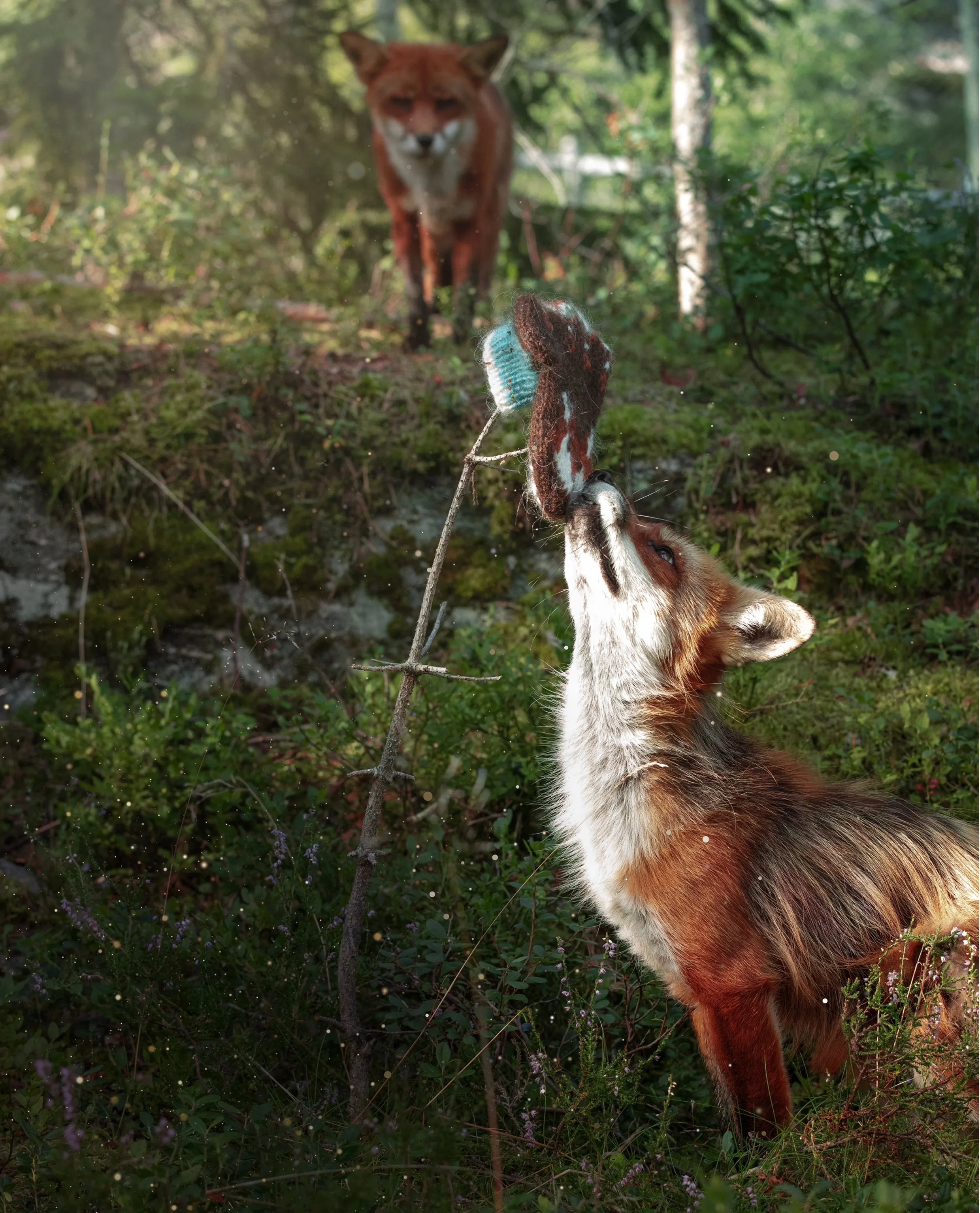 Forestfox Mittens