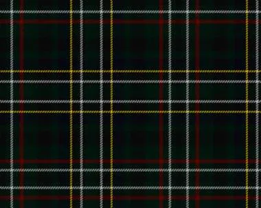 Scott Green Modern Light Weight Tartan Scarf